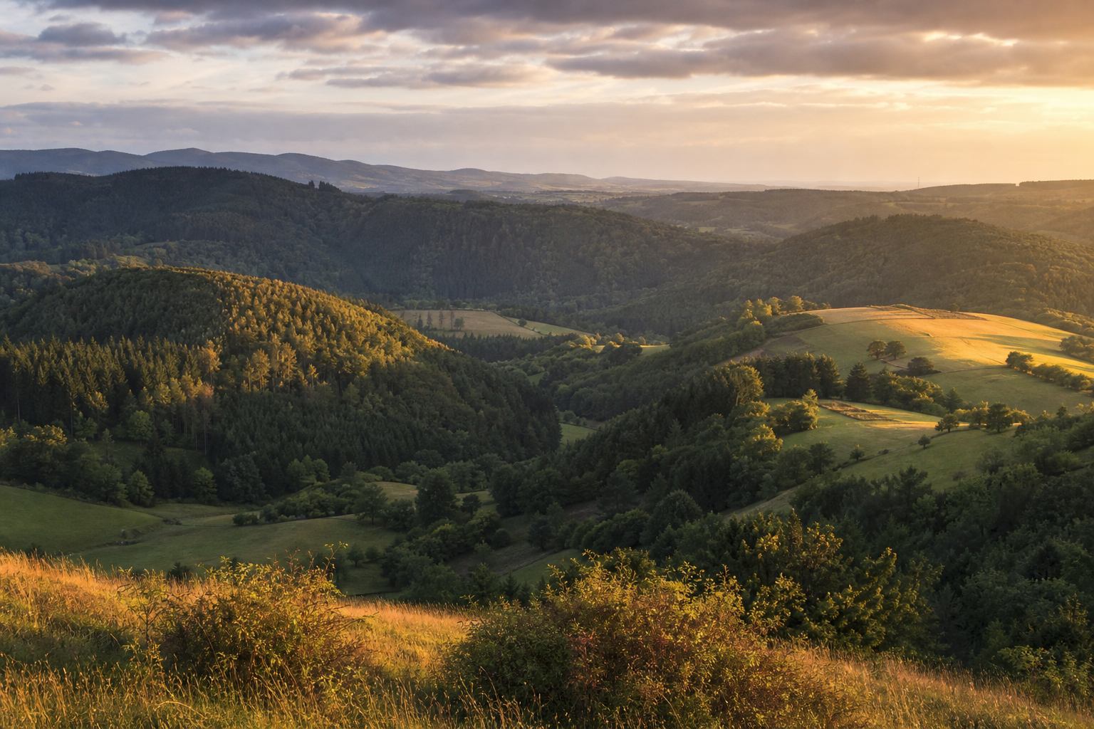 Landschaftsroute durch Hügel und Wälder der Vulkaneifel